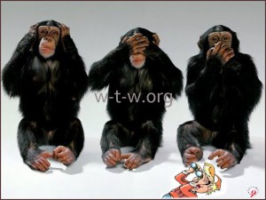 3 Monkeys do not hear, see-2