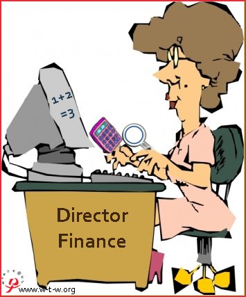 2Director Finance