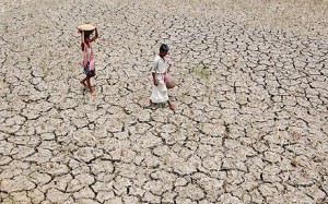 INDIA-AGRICULTURE-DROUGHT