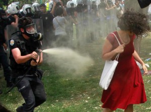 Lady in Red Sprayed with Tear Gas