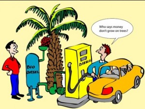 Biodiesel Fuels