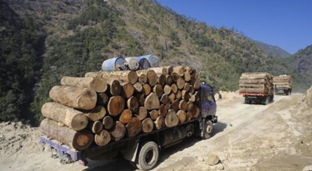 Illegal Logging Myanmar