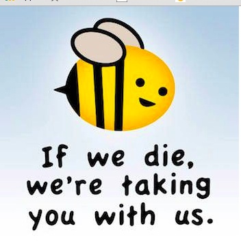 Bee population decline