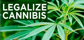 Legalize Marajuana?